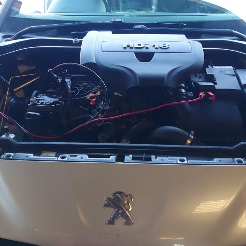 330089082_947901936583817_6104354042776108439_n